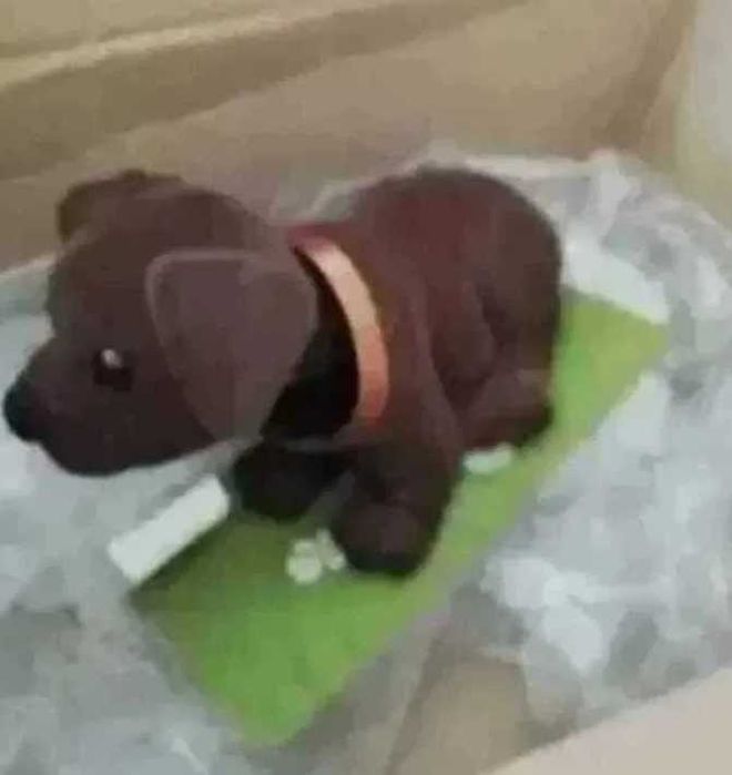 Fiat 125p 126p Polonez itp. piesek Azor z kiwającą głową nowy PRL