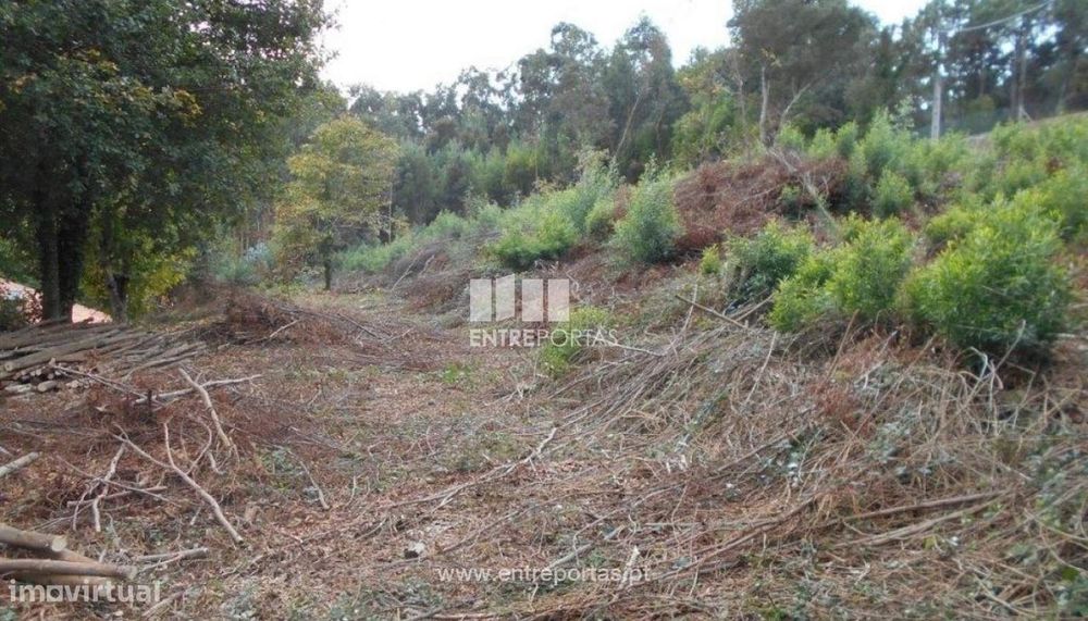 Terreno Venade — Venade E Azevedo, Viana do Castelo