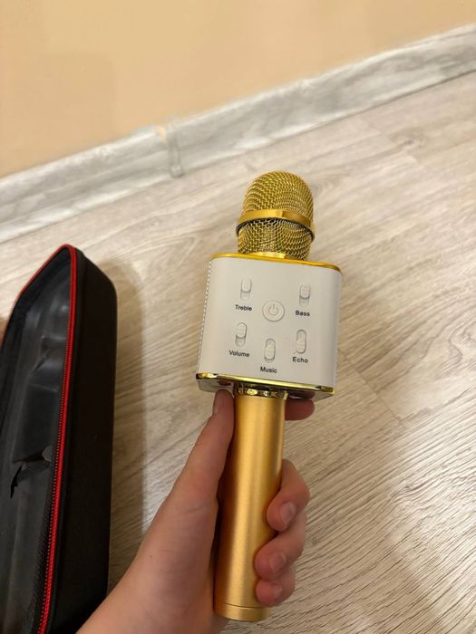 Мікрофон з колонкою