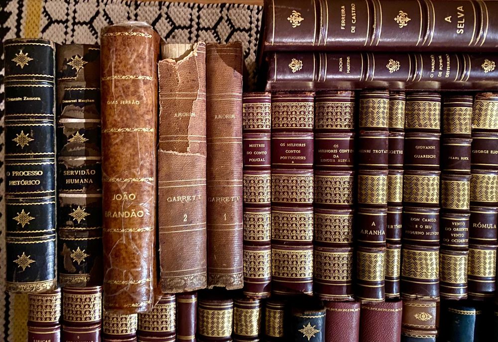 Lote livros antigos literatura - raridades