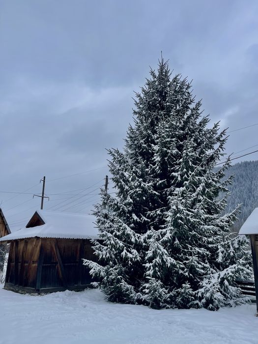 Відпочинок садиба•котедж Верховина | Карпати