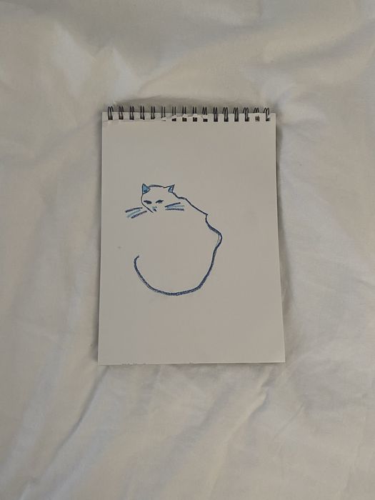 Rysunek kota minimalistyczny