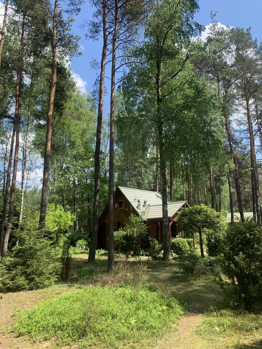 Działka budowlana 2130 m² z domkiem w lesie nad rzeką Liwiec! Stacja PKP, plaża, media. Tylko 50 min od Warszawy. Kaliska - Gmina Łochów. - Widok 4