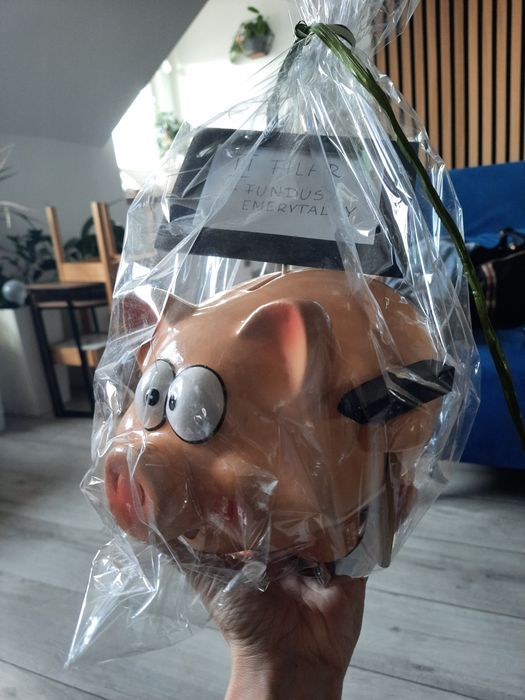 Świnka skarbonka duża