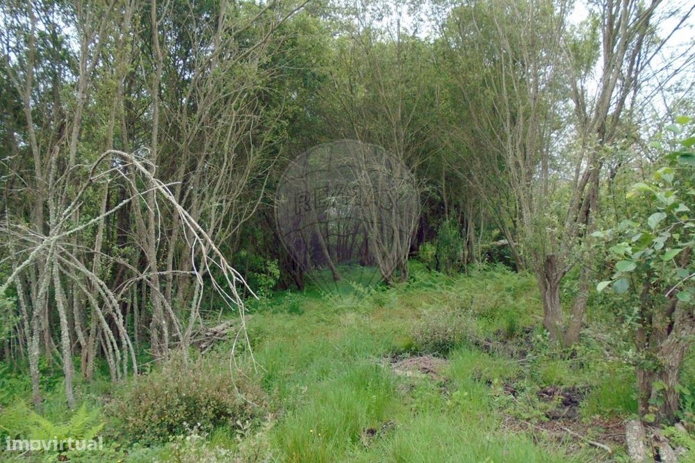 Terreno  para venda