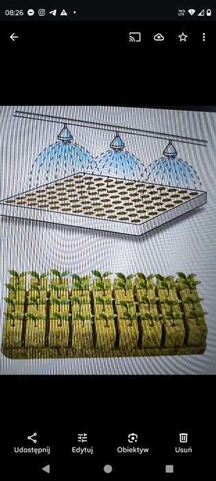 Bloki do sadzonek EcoGrow Rockwool hydroponic 50szt