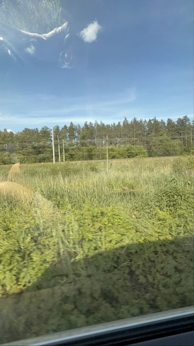 Ділянка 8 га, с. Романків, Підгірці, Київська область