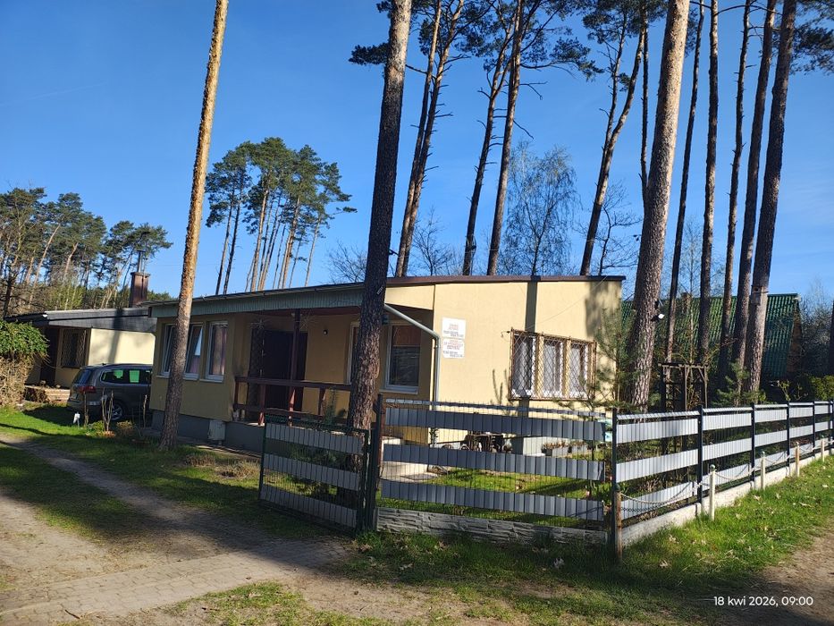 Turawa domek   majówka 26