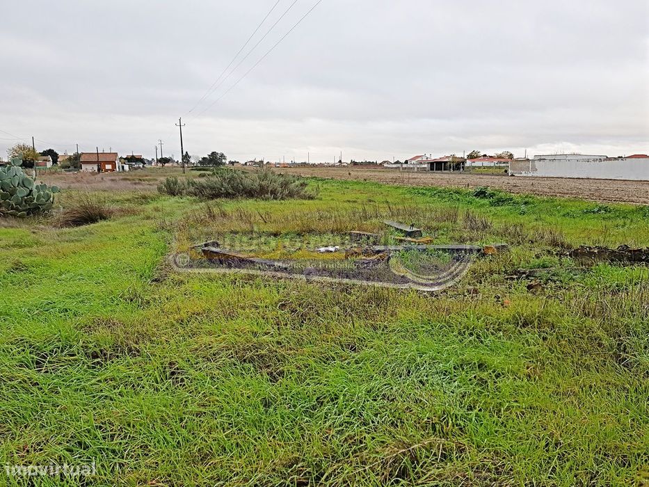 Terreno em Foros de Salvaterra (F557)