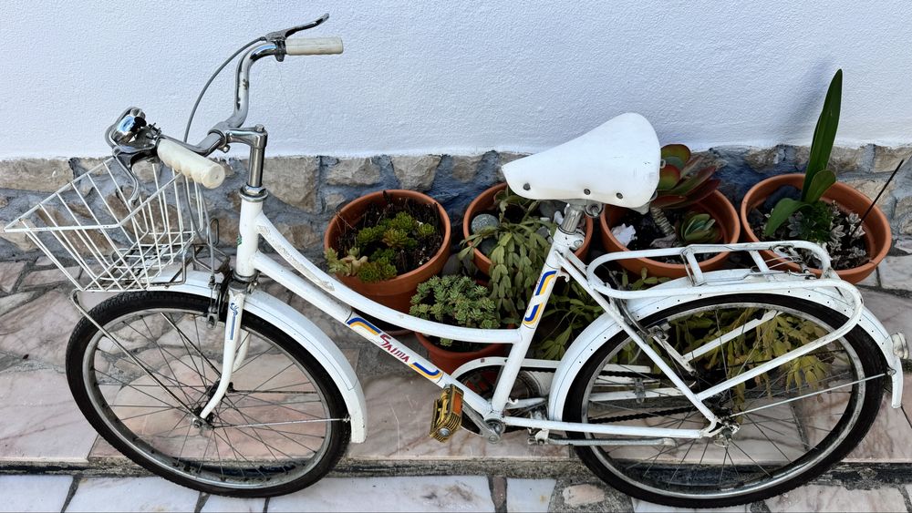 Bicicleta Esmaltina