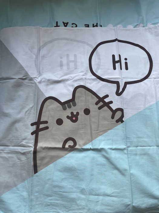 Posciel Pusheen 160x200 plus gratis poszewka pusheen 40x40