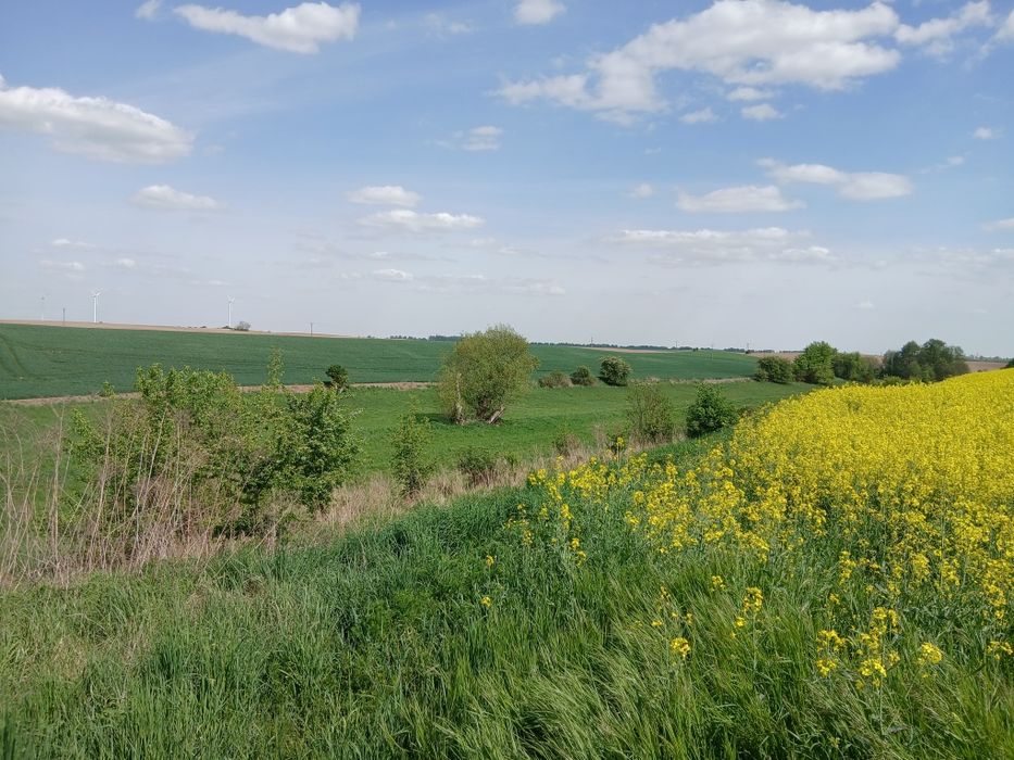 Bronowice działka  rolna 46 ar.