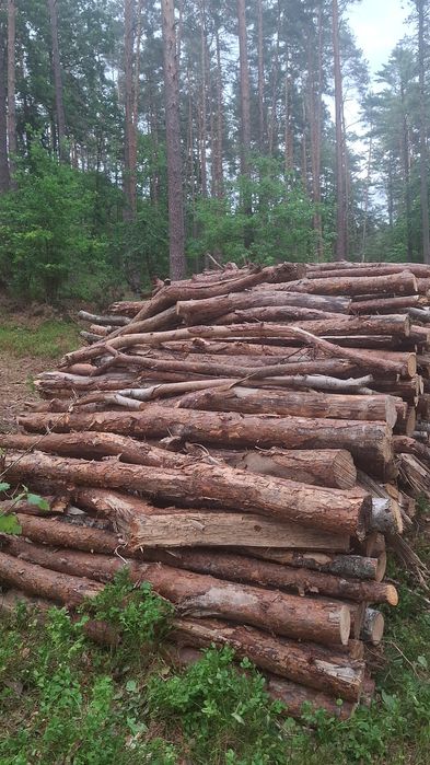 Drzewo opałowe i kominkowe