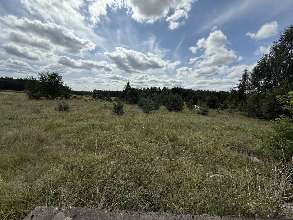 Działka 3000m Wojszki
