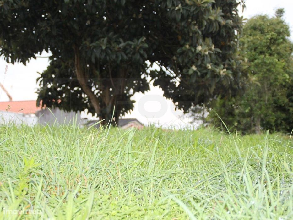 Terreno para venda junto á Escola Secundaria de Estarreja