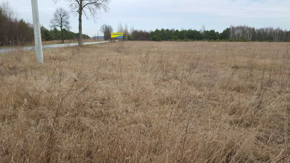 Działki budowlane – Bogoria, ul. Staszowska – dostęp do mediów