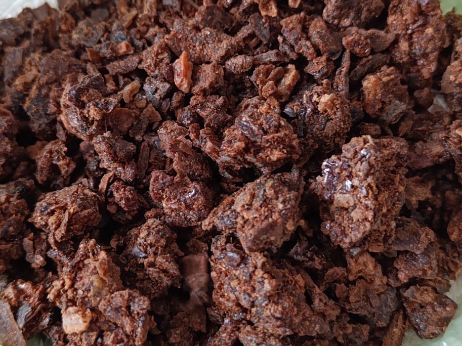 Propolis kit pszczeli
