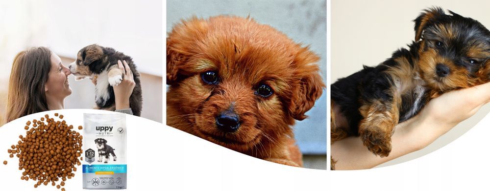 Sucha Karma Uppy Nutri Premium Bezzbożowa Dla Szczeniąt 1,5Kg