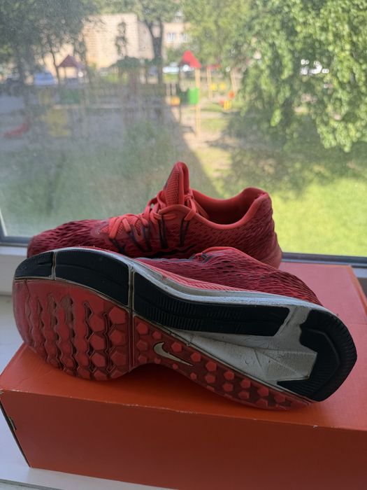 Кросівки Nike Pegasus