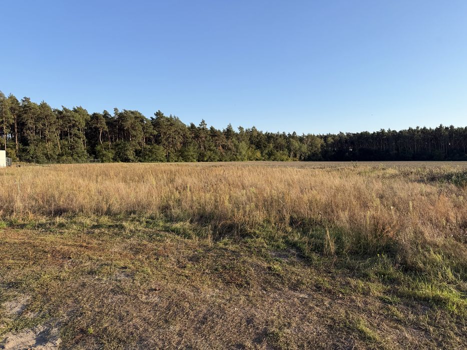 Działka budowlana 770 m² w Betkowie – ul. Cisowa, blisko lasu