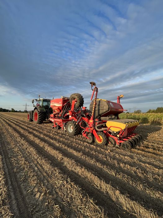 Siew pasowy Strip Till czajkowski