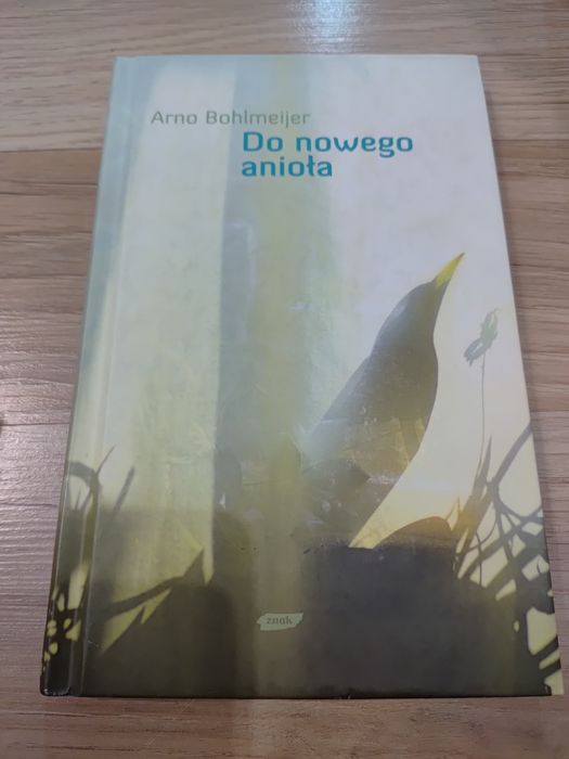 Książka Do nowego anioła
