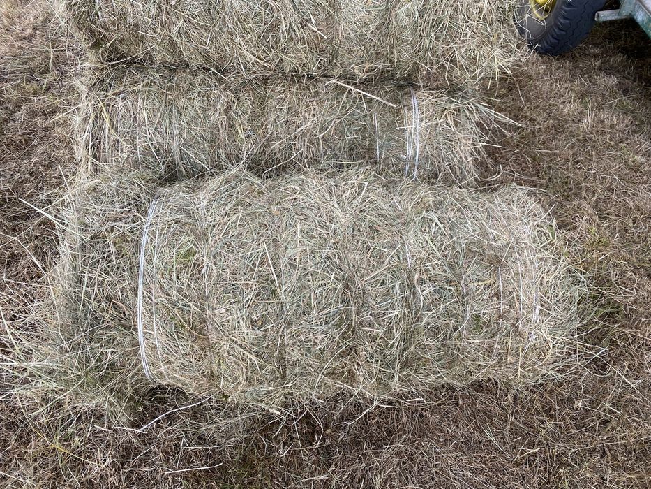 Siano mini rolki 23 kg – TANIO  Siano tegoroczne rolki +\- 23 kilo wagi
