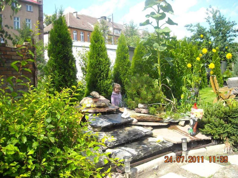 Świadczenie usług ogrodniczych