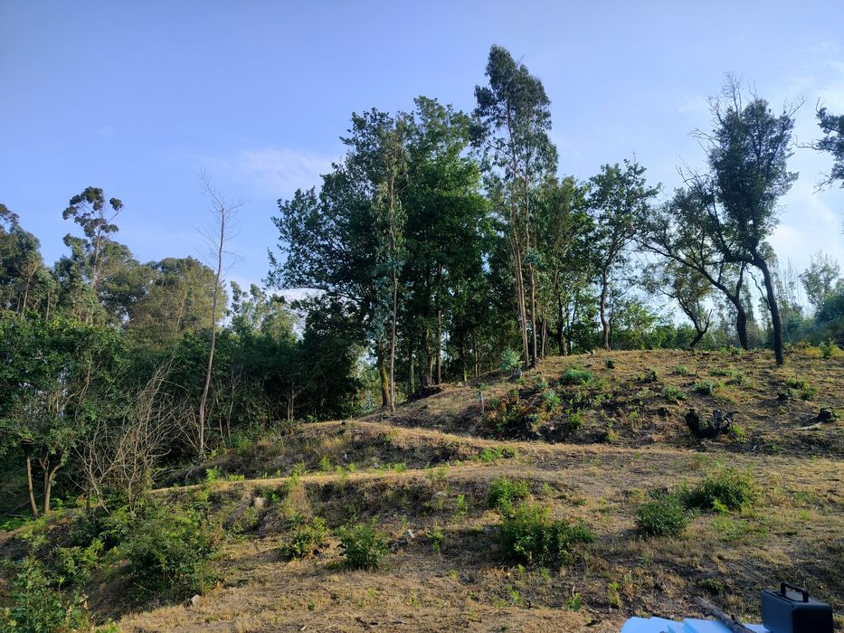 terreno para viver em off grid
