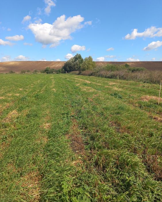 Продам 2 земельні ділянки