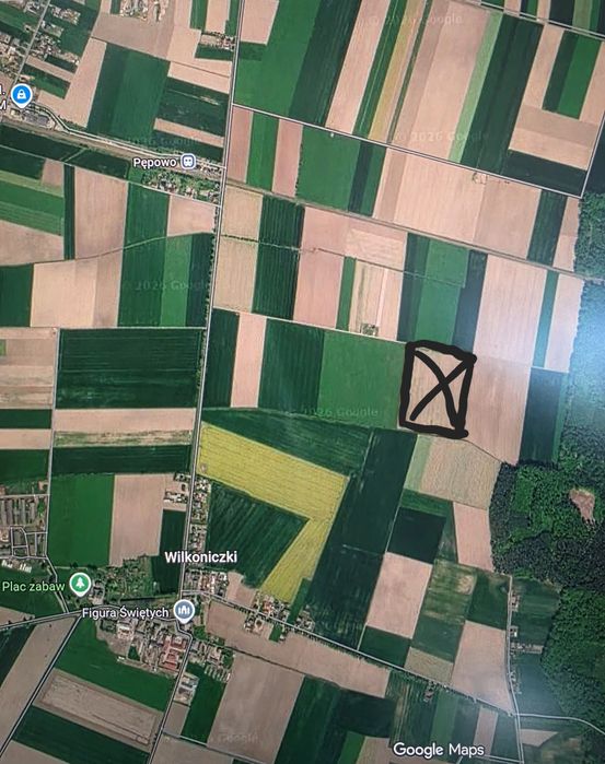 Wydzierżawię ziemię krzekotowice 6ha