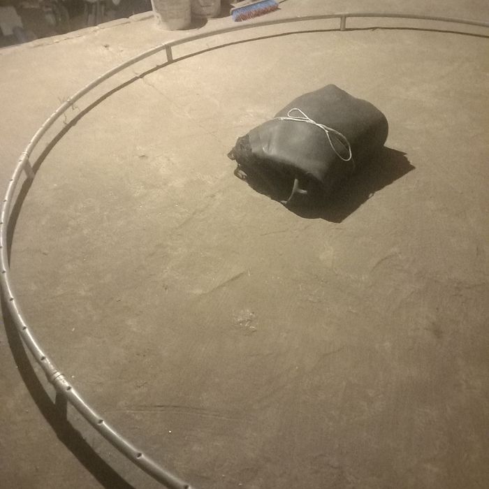 Tarampolina ogrodowa