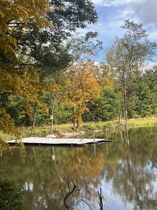 Котедж серед лісу  в Карпатах.  Риболовля. Чан.Сауна. Без сусідів.