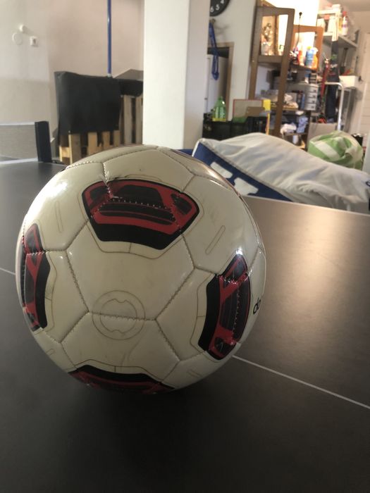 Bola de futebol domin gos