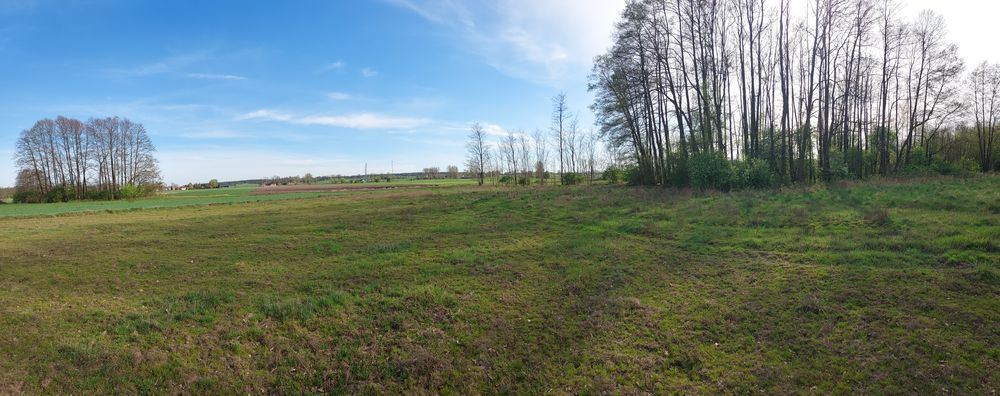 Działka budowlana blisko term, ostatnia w tak dobrej cenie! - Widok 4