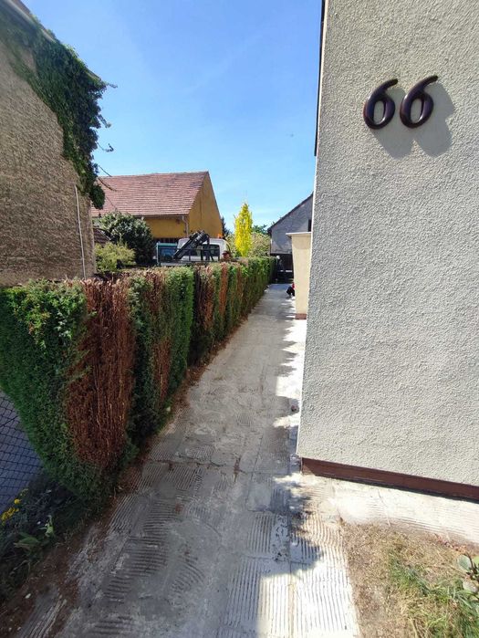 WYCINKA DRZEW • prace pielęgnacyjne