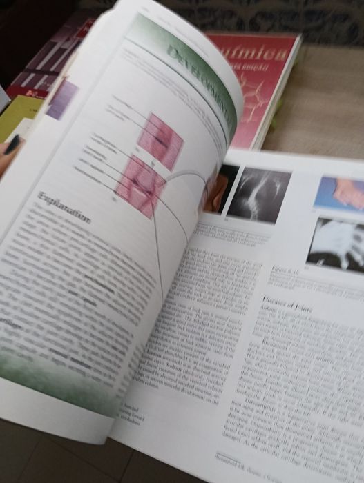 Livro: Human Anatomy – Van De Graaff (5th Edition