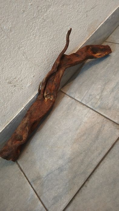 Tronco natural para aquário