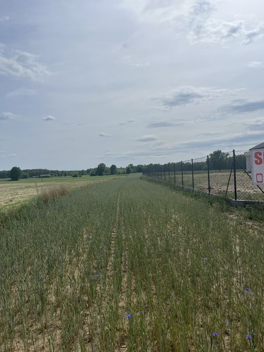 Działki budowlane 1800 m² | Mieczysławka | gm. Lubartów - View 2