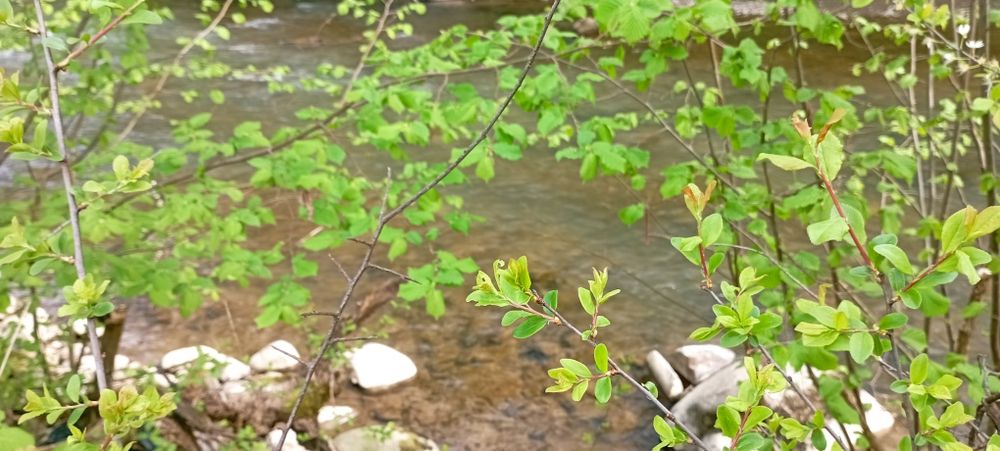 Продам ділянку у рекі Пеня Солочин 6 соток