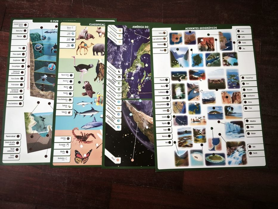 Jogo sobre o planeta terra