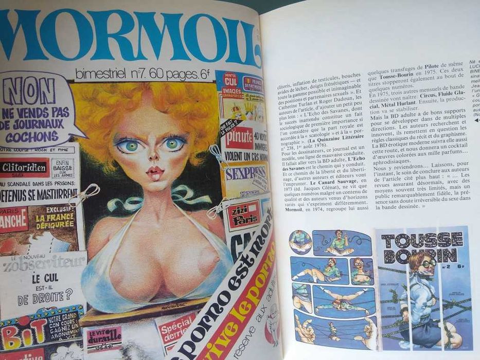 Et la B.D. créa la femme : Histoire coquine de l'érotisme dessiné.