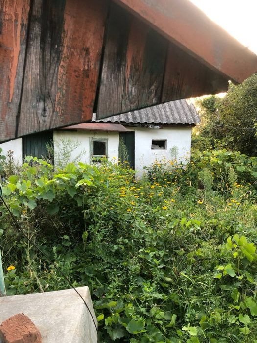 Продаж будинку Рокитне