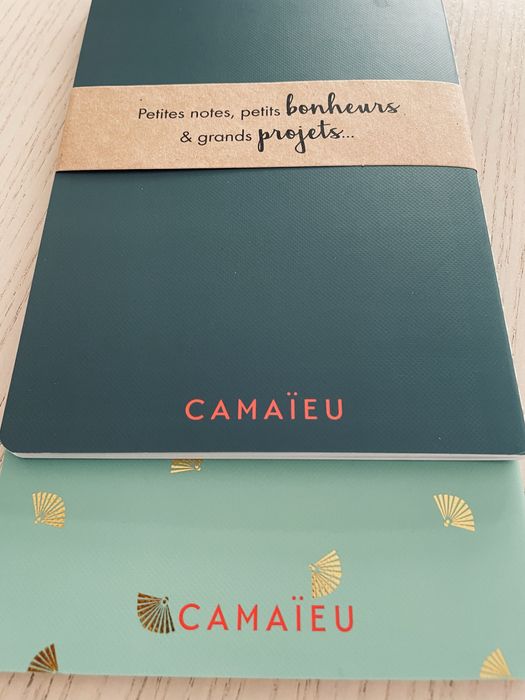 Набір записників - нотатників Camaïeu (made in France), 2 шт.