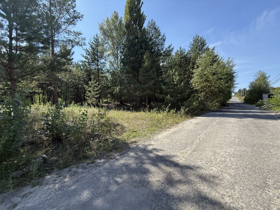 Продам земельну ділянку в Гореничах під лісом