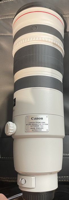 Canon 200-400 F4L com 1.4 incuido.