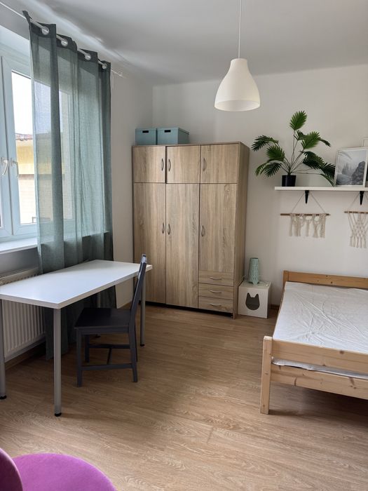 Pokój do wynajęcia