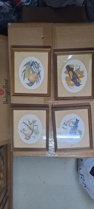 Quadros Songbirds of the World