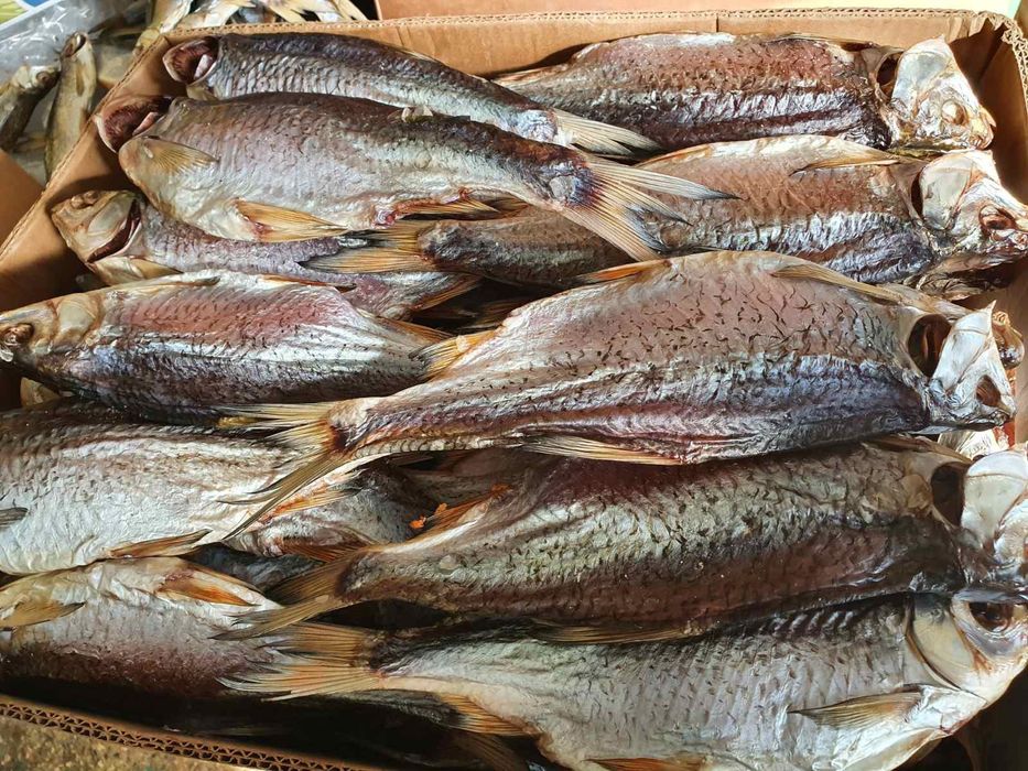 Риба, ікра, морепродукти, креветки