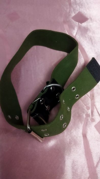 Намордник собачий